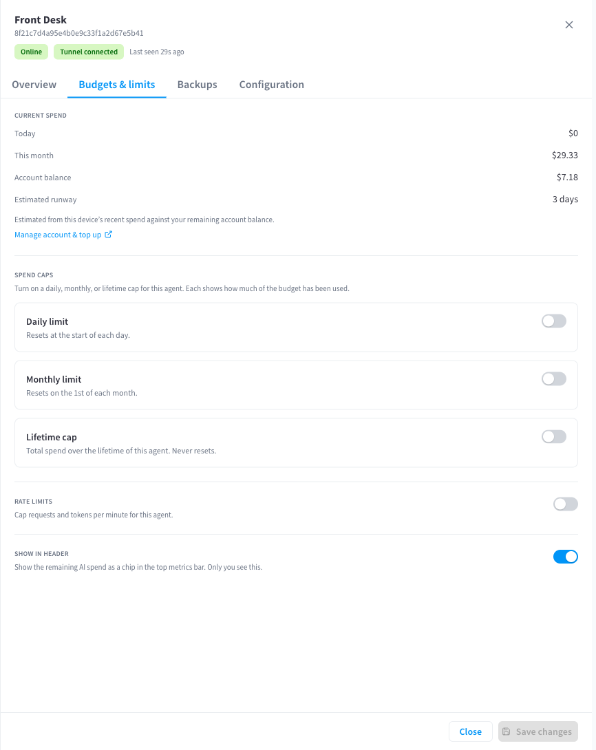 Device drawer — Budgets & limits tab