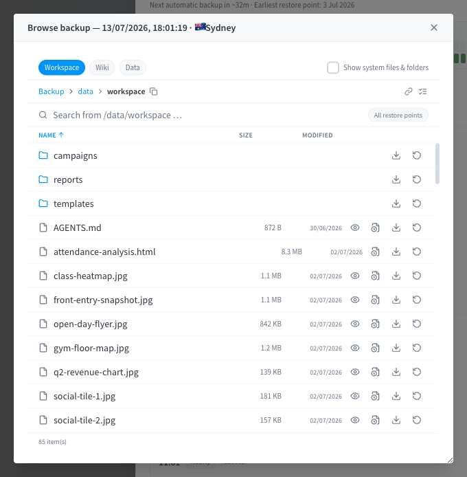 Backup file browser