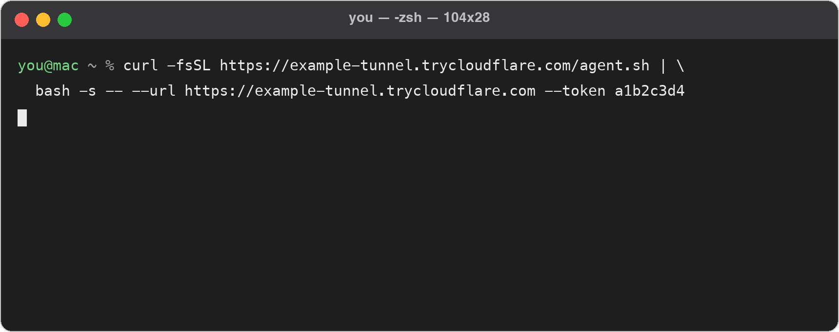 macOS Terminal with the migration command pasted