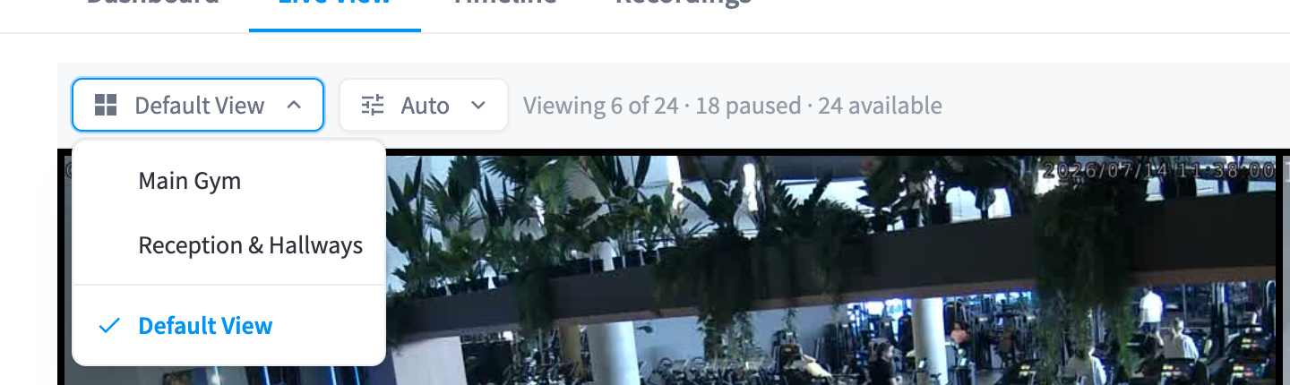 The views menu
