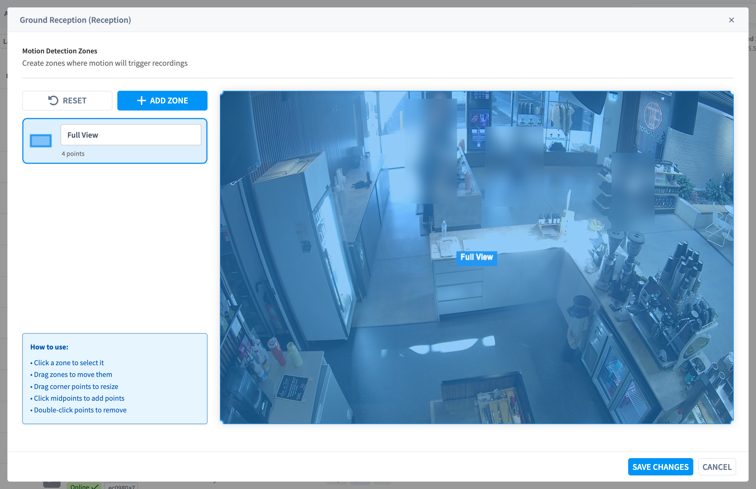 Motion Detection Zones
