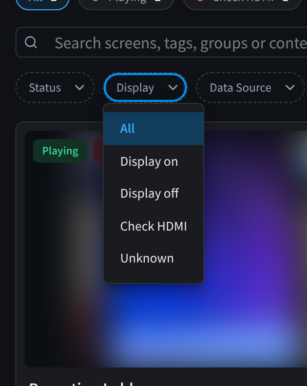 The Display filter menu open